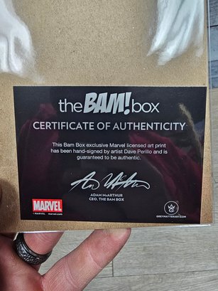 BAM BOX SIGNED DAVE PERILLO 8X10 PUNISHER PUNISHING MARVEL ART PRINT 1496/3000* BM3 - Photo 1
